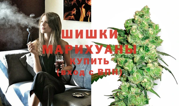 ПСИЛОЦИБИНОВЫЕ ГРИБЫ Семилуки