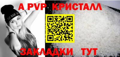спиды Кимры