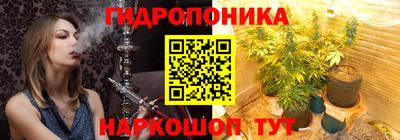 спиды Кимры