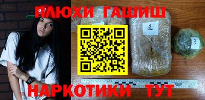 спиды Кимры