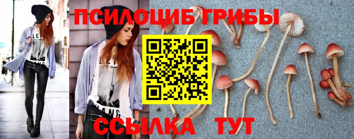 Солнечногорск  Псилоцибиновые грибы Psilocybe  Вход с VPN  Галлюциногенные грибы ЛСД 