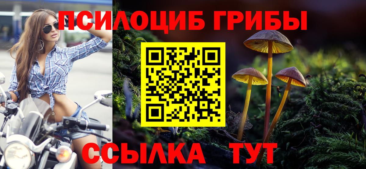 Псилоцибиновые грибы Cubensis Солнечногорск